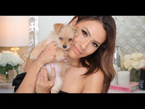 CHIT CHAT PUPDATE | DESI PERKINS